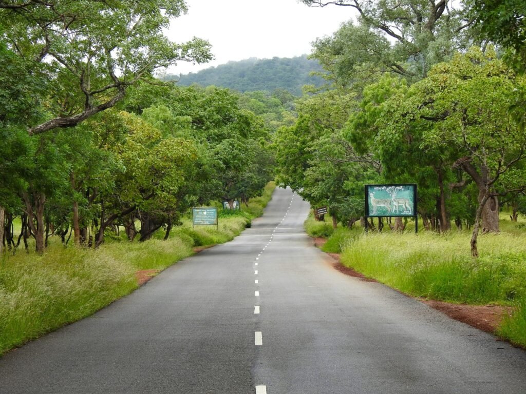 forest road near Srisailam project and dam