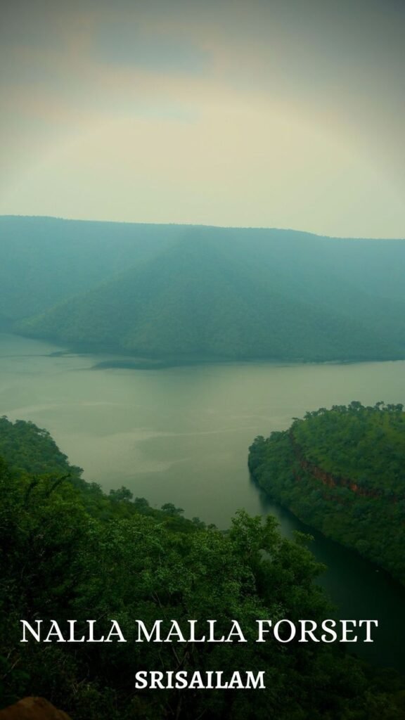 Krishna river flowing between the green Nallamala Hills